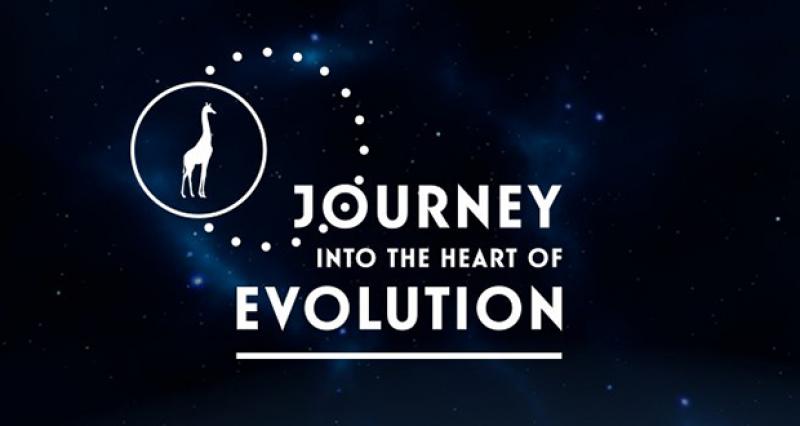 Journey into the heart of evolution