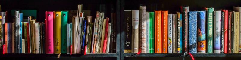Bookshelf with books