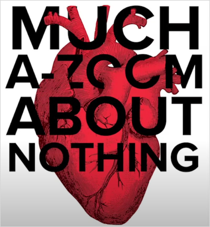 Much a Zoom about Nothing
