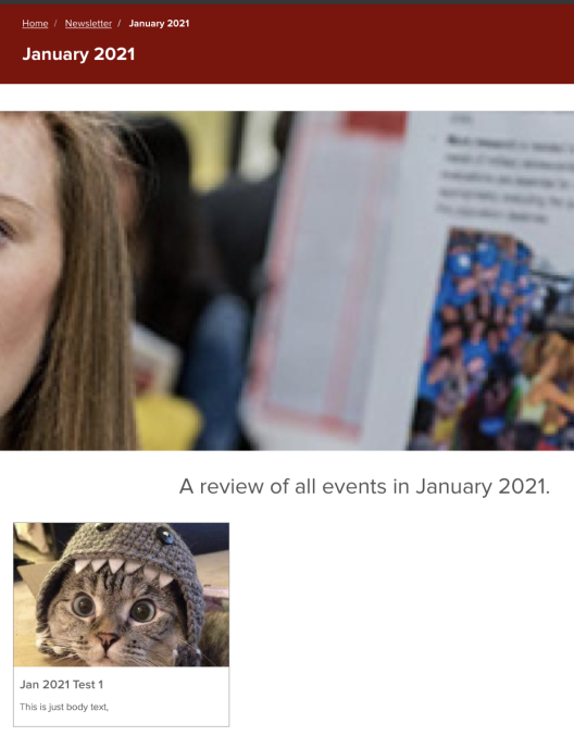 Newsletter issue