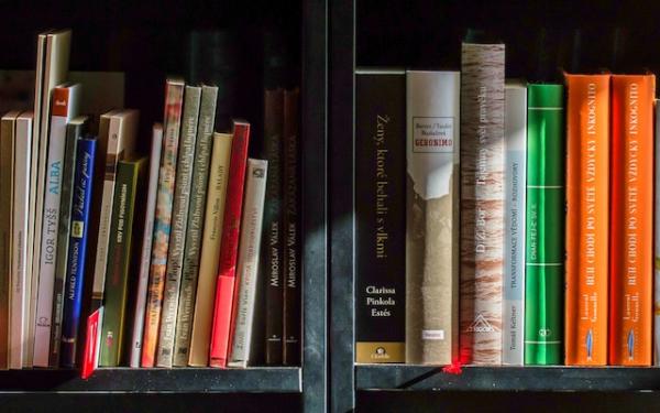 Bookshelf with books