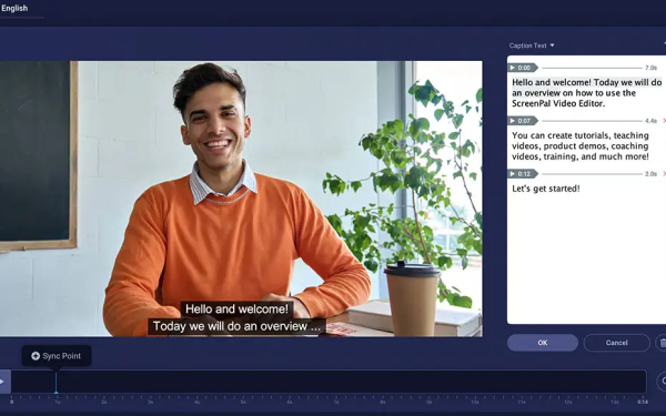 Image of a video captions making screen