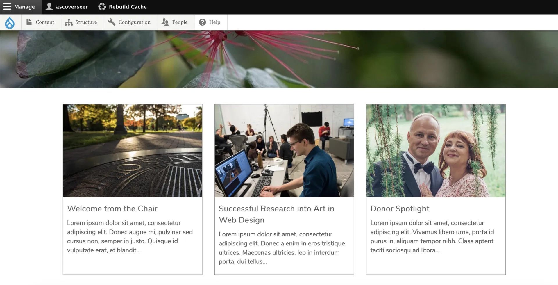 Landing page for newsletter articles