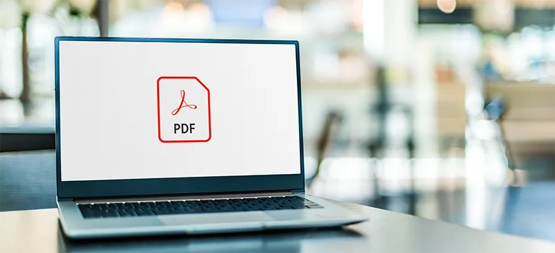 PDF opening on laptop